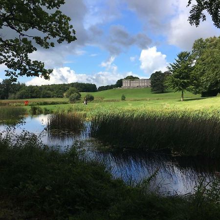 Kilcornan Curraghchase Cottage מראה חיצוני תמונה