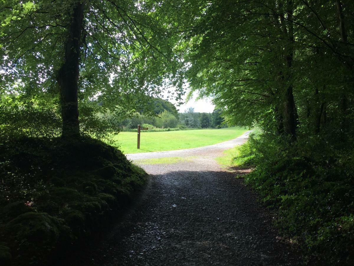 Kilcornan Curraghchase Cottage מראה חיצוני תמונה